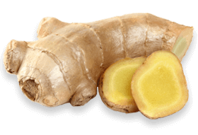 joint genesis supplement